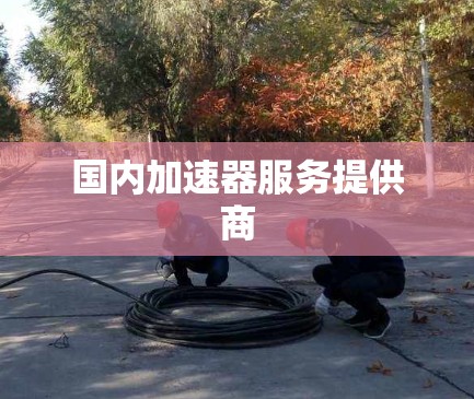 国内加速器服务提供商