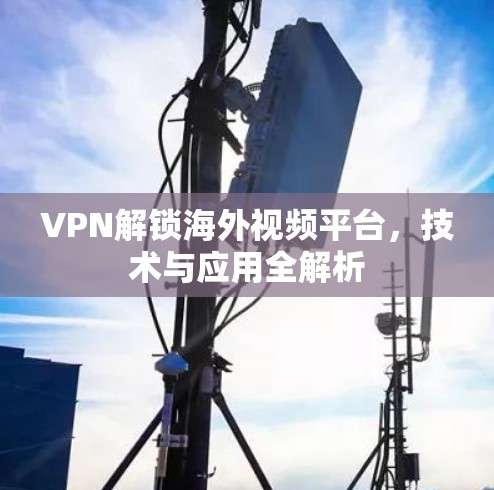 VPN解锁海外视频平台,技术与应用全解析