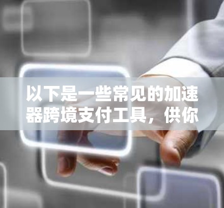 以下是一些常见的加速器跨境支付工具，供你参考