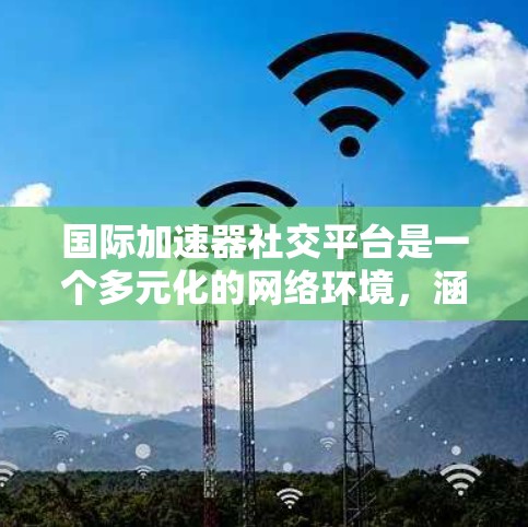 国际加速器社交平台是一个多元化的网络环境,涵盖了从学术交流到项目协作的各个方面。以下是对这些平台的详细分析