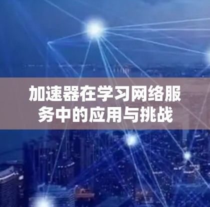 加速器在学习网络服务中的应用与挑战