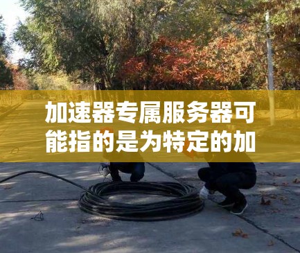 加速器专属服务器可能指的是为特定的加速器服务设计的专用服务器，这些服务器通常用于优化网络性能，例如在数据传输、视频流、云计算或其他需要高性能网络服务的场景中