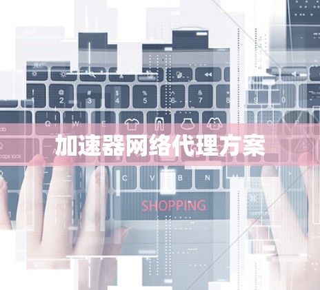 加速器网络代理方案