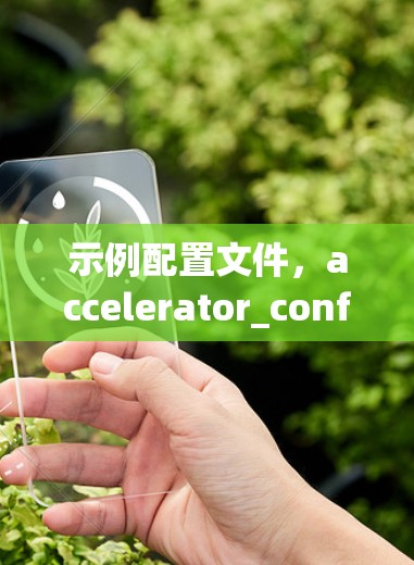 示例配置文件,accelerator_config.json