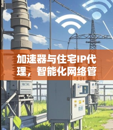 加速器与住宅IP代理,智能化网络管理与性能优化